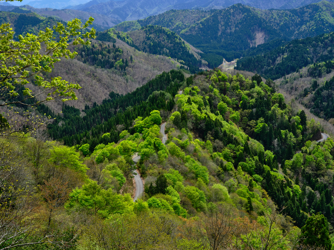 �̂��邵�炭